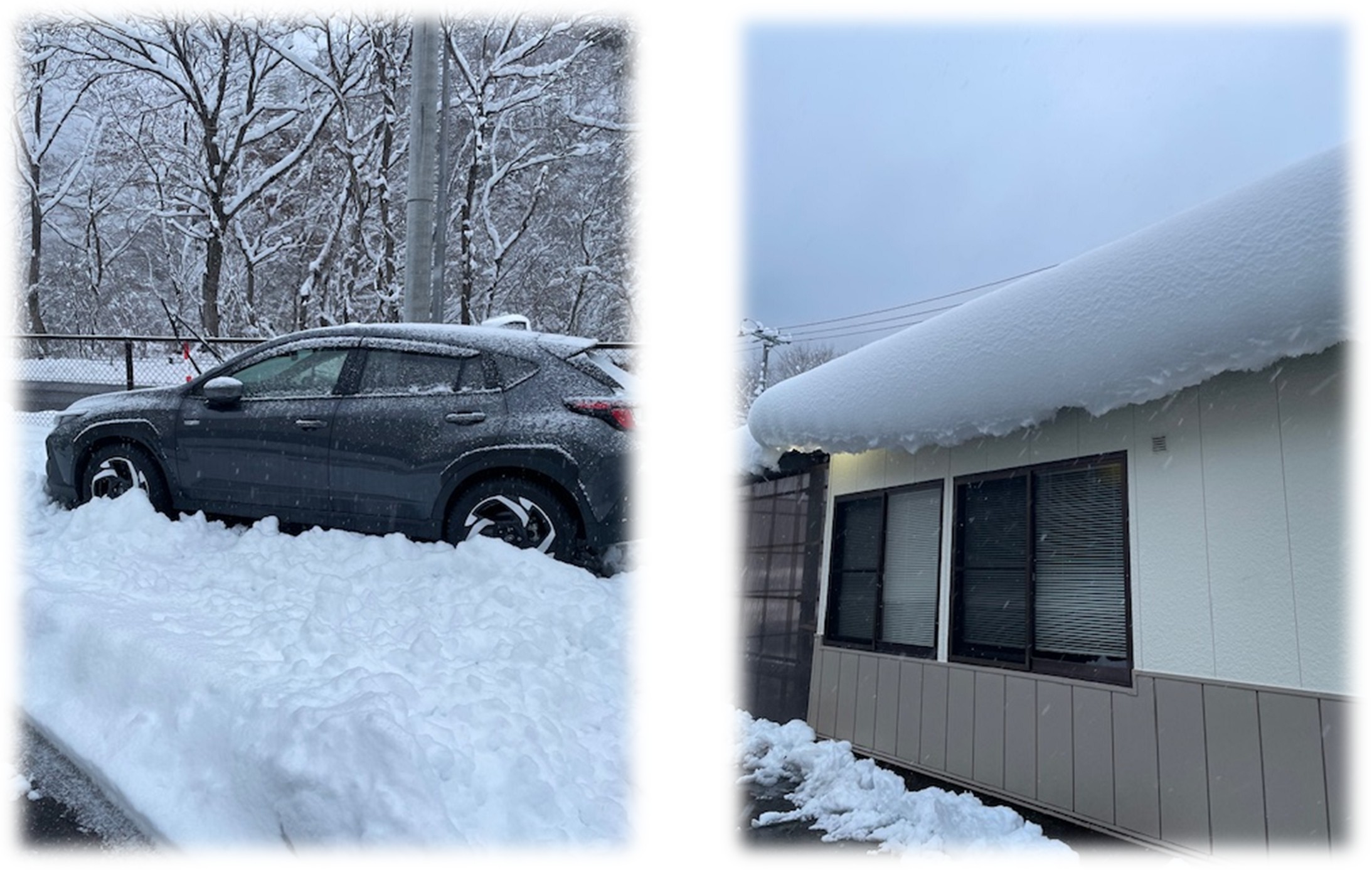 雪が降りましたの画像