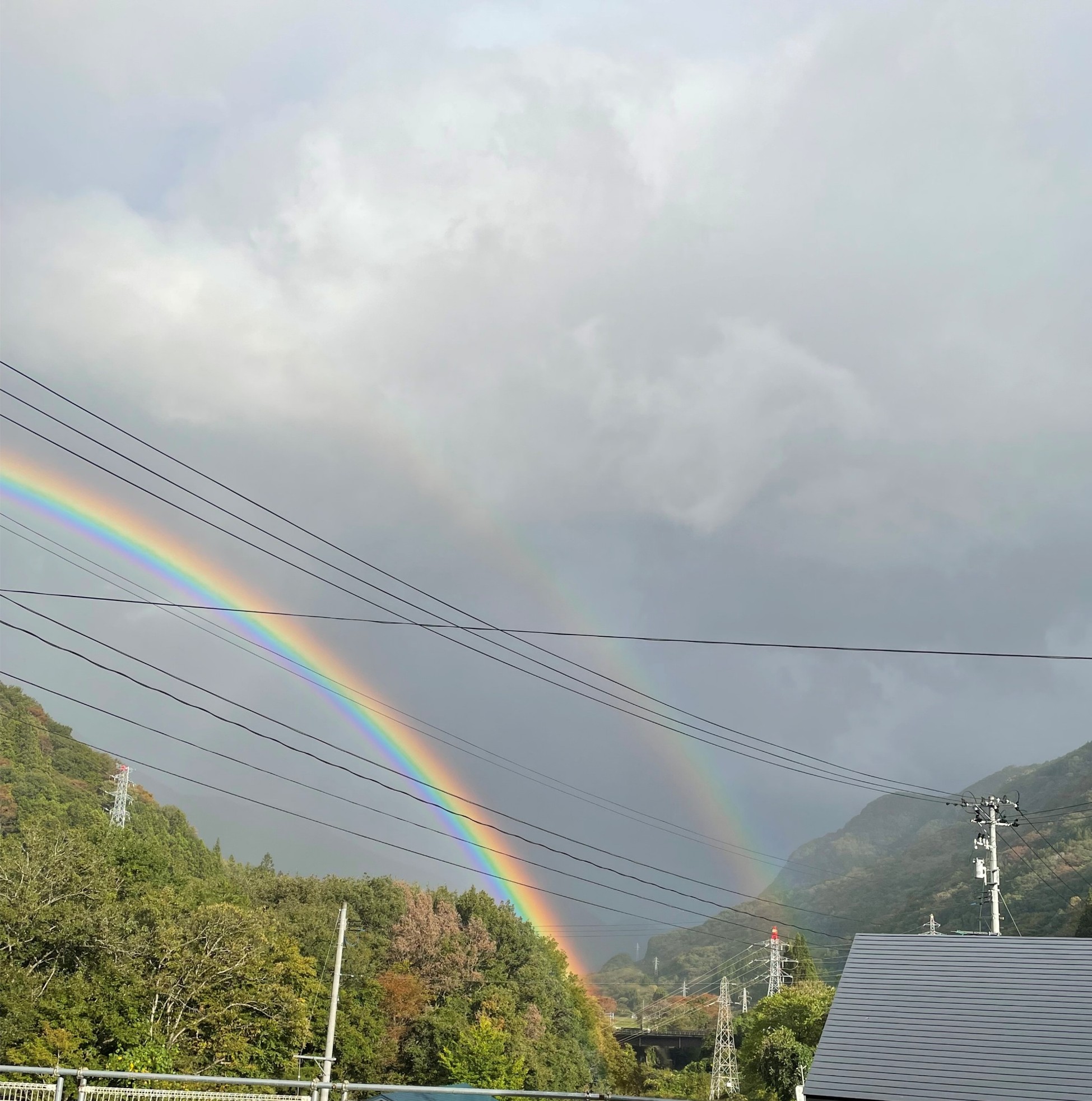 今しがたの画像